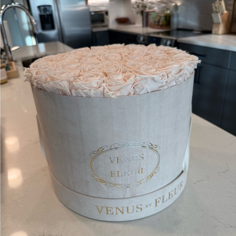 Cream Rose Box Venus Le Fleur